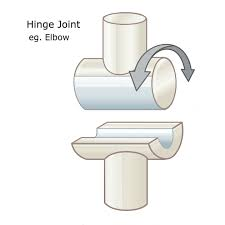 <p>hinge joint </p>