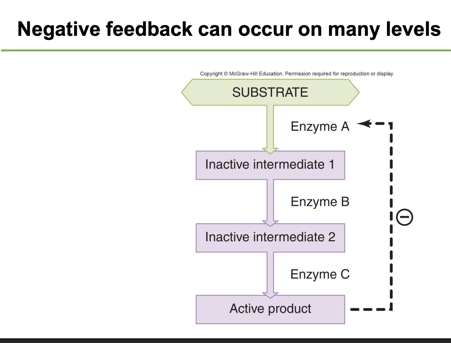 <p>true!</p><p>*ex: regulate levels of chemical substrate</p>