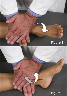 <p><span>The patient supine with the heel of the foot on the table.</span></p><p><span>The physician places the proximal hand palm down across the distal tibia with the metacarpal-phalangeal joint of the index finger proximal to the distal tibia.</span></p><p><span>The physician <strong>presses directly down toward the table and balances the tension coming up through the heel and the tibiotalar joint.</strong></span></p><p><span>The physician's other hand can be placed on top of the treating hand to create more pressure. The <strong>physician internally rotates (Fig. 1) or externally rotates (Fig. 2) the tibia slightly to bring the compression to a point of balanced tension. </strong></span></p>