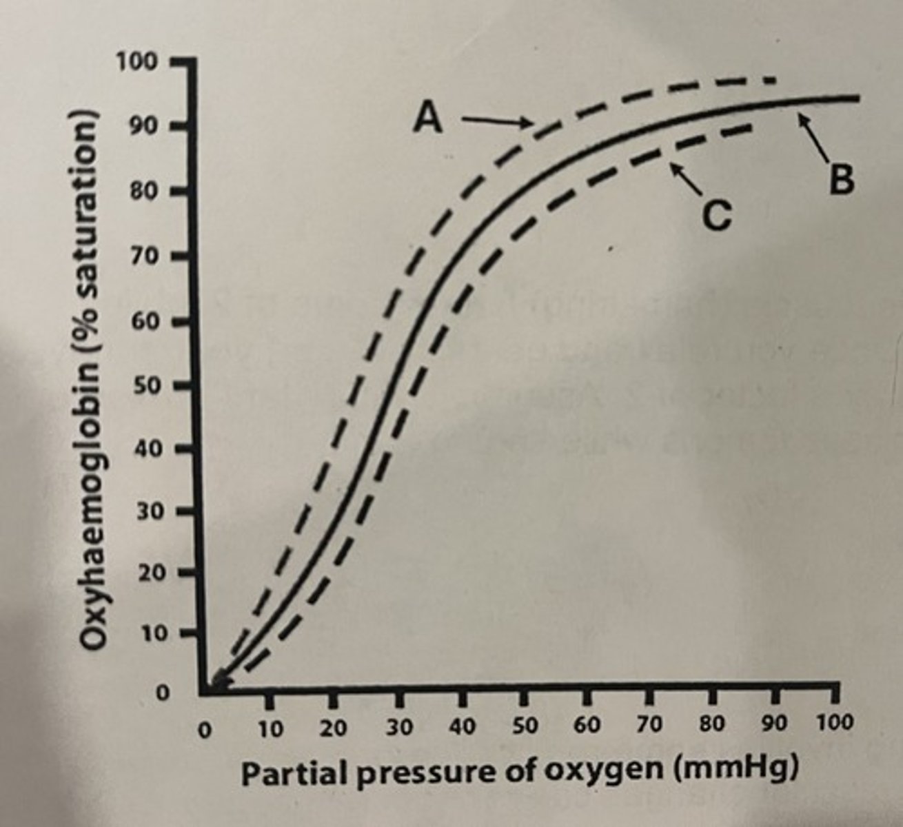 <p>In curve A, oxygen is binding more tigher to hemoglobin compared to B</p>