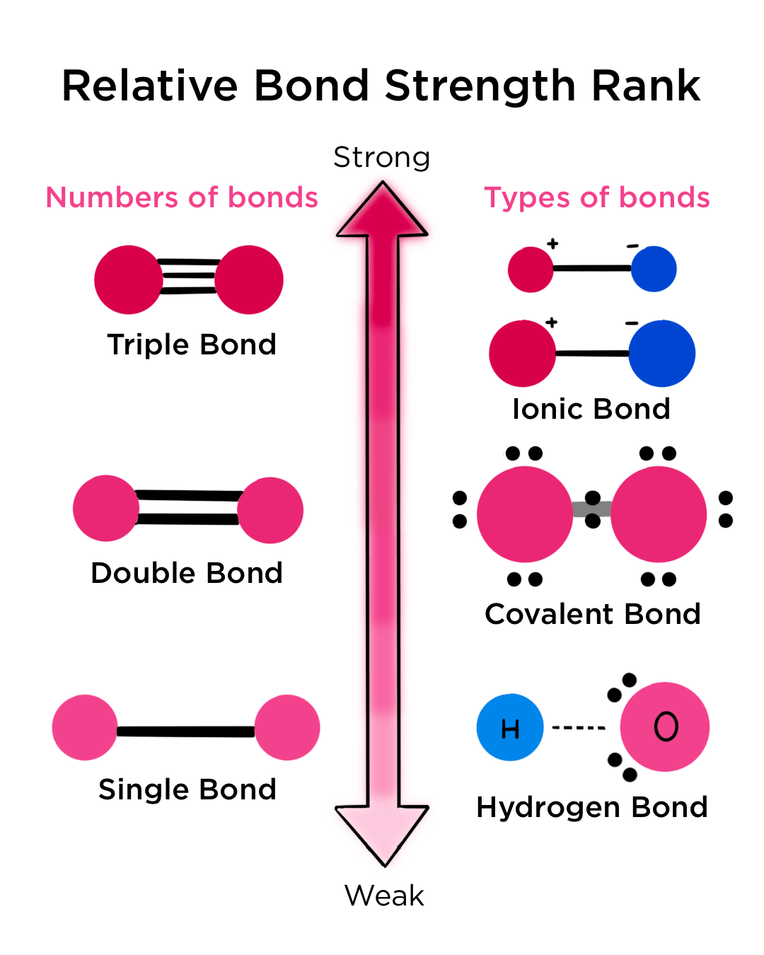 <p>can be disrupted by certain physiological conditions</p><p>Types:</p><p>1) Hydrogen bonds</p><p>2) Van der Waals</p><p>3) Ionic</p><p>4) Hydrophobic bonds</p>