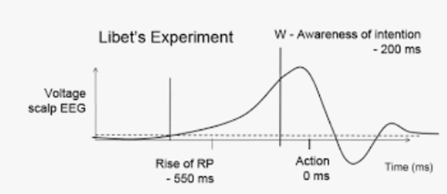 <p>* Libet found that a specific pattern of brain activity preceded a conscious decision up to 10 seconds before conscious awareness of making the decision. (2)</p><p>* This undermines free will as the conscious experience of free choice is determined by the brain. (2)</p><p>(* Therefore, free will is an illusion)</p>