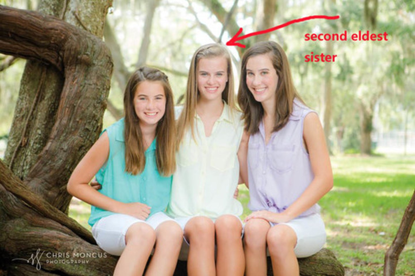 <p>èr jiě - second eldest sister</p>