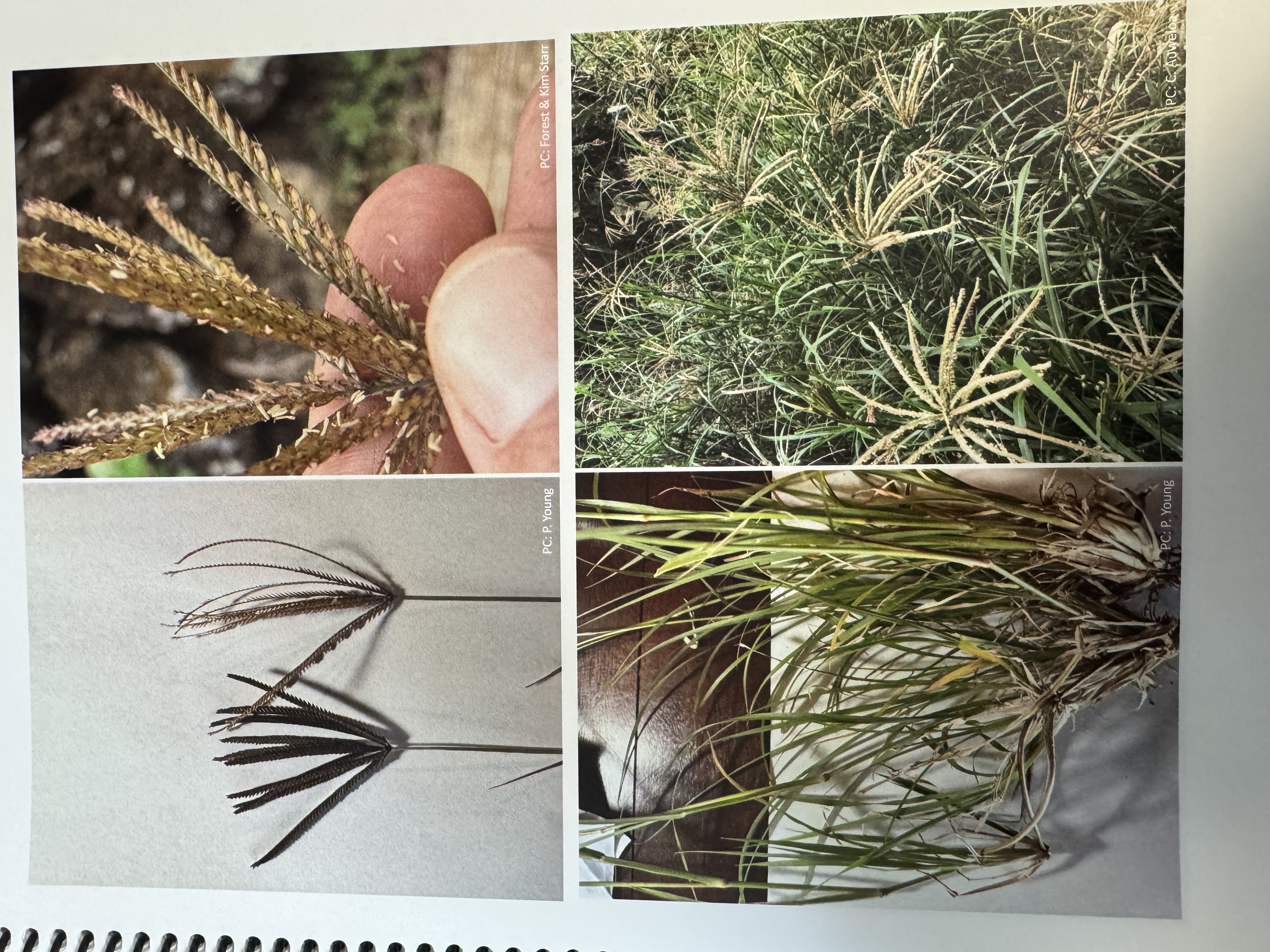 <img src="blob:null/e8fcba0e-d6cf-4e05-9259-a9a88c82ba63"><p></p>