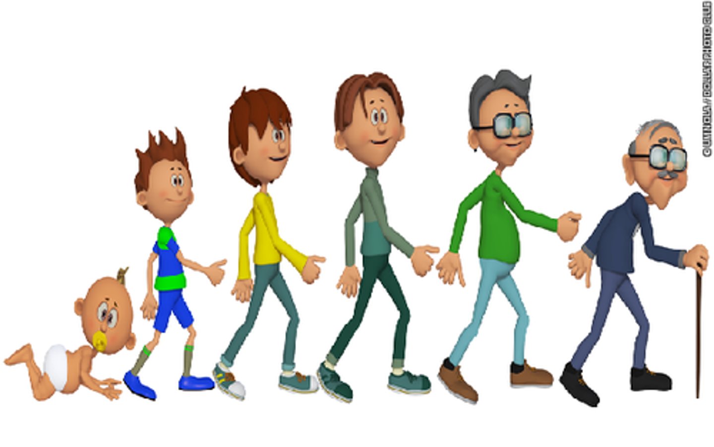 <p>the scientific study of biological, cognitive, social, and personality development across the lifespan.</p>