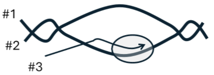 <p>Below is diagram for a replication bubble. The grey circle represents where the new RNA polymerization happens, and the arrow represents the direction of RNA synthesis. #1, #2, and #3 label one end of a polynucleotide chain. Which is 5’ end?</p>