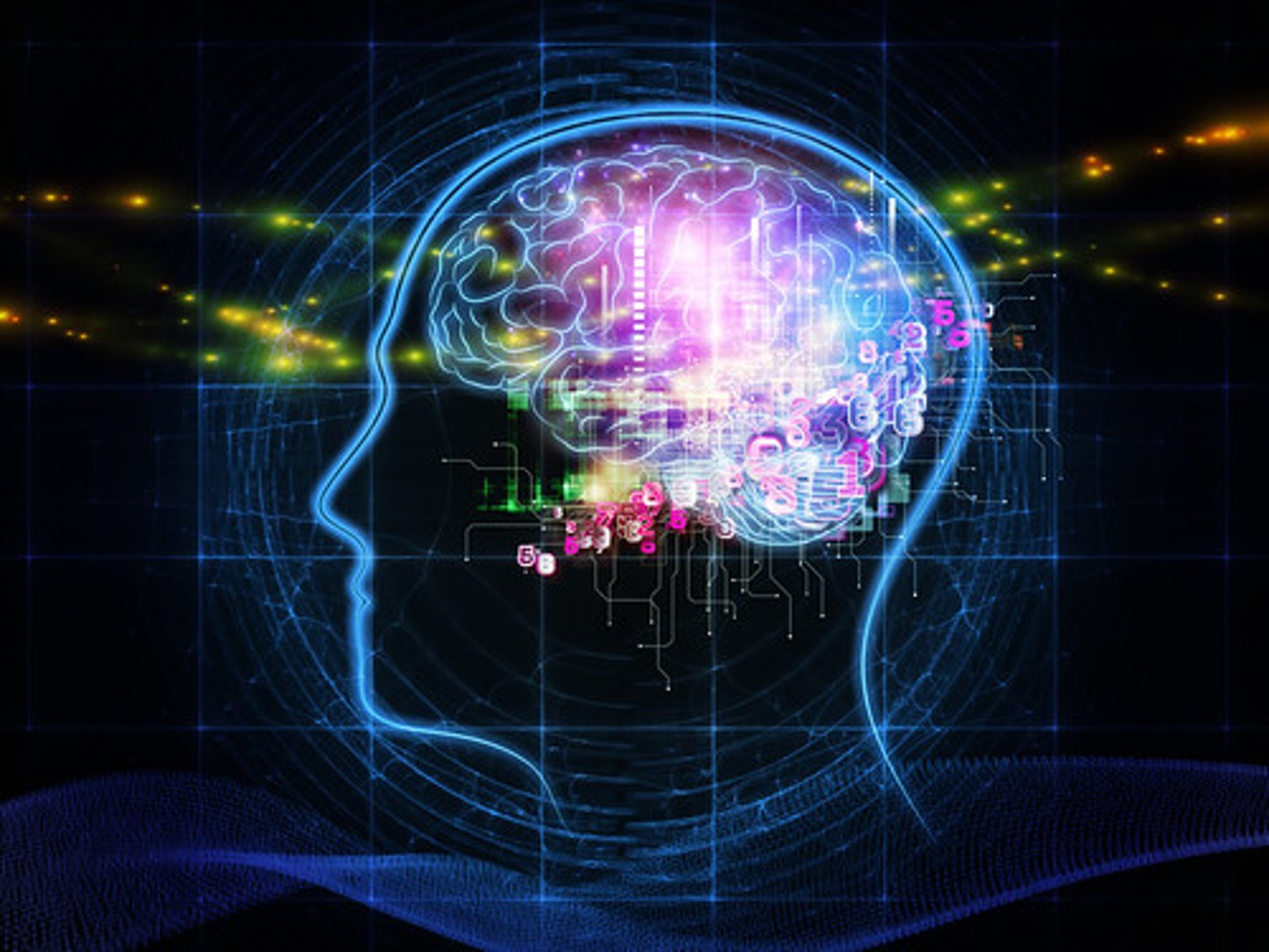 <p>The ability to learn, understand and make judgments</p><p>(Trí thông minh)</p><p>= intellect</p><p>(trí tuệ)</p><p>&gt;&lt; stupidity</p><p>(ngu dốt)</p>
