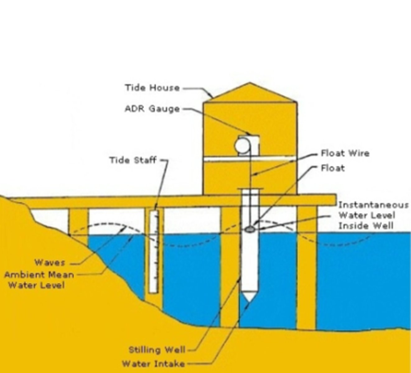 <p>mounted along the shoreline, they are used to measure the local sea level, stuck to the ocean floor, they measure from the ground to the sea surface</p>