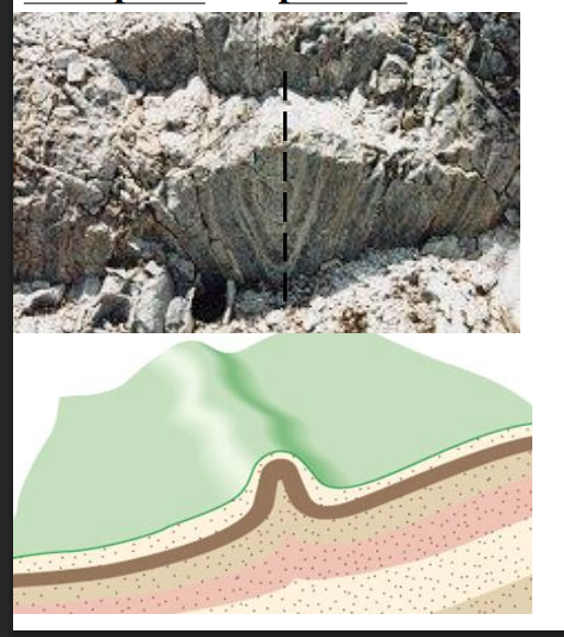 <p>The limb of the folded layers are parallel though the strata may vary in thick and the axial plane are parallel</p>