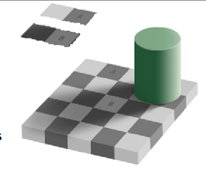 <p>lightness perception under uneven illumination  </p>