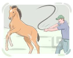 <p><strong>to hit with a lot of force:</strong></p><p><br></p>