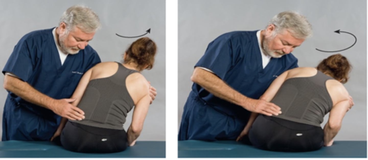 <p>Assessment for:</p><p>- Intervertebral nerve root encroachment</p><p>- Muscular strain</p><p>- Ligament sprain</p><p>- Pericapsular inflammation</p>