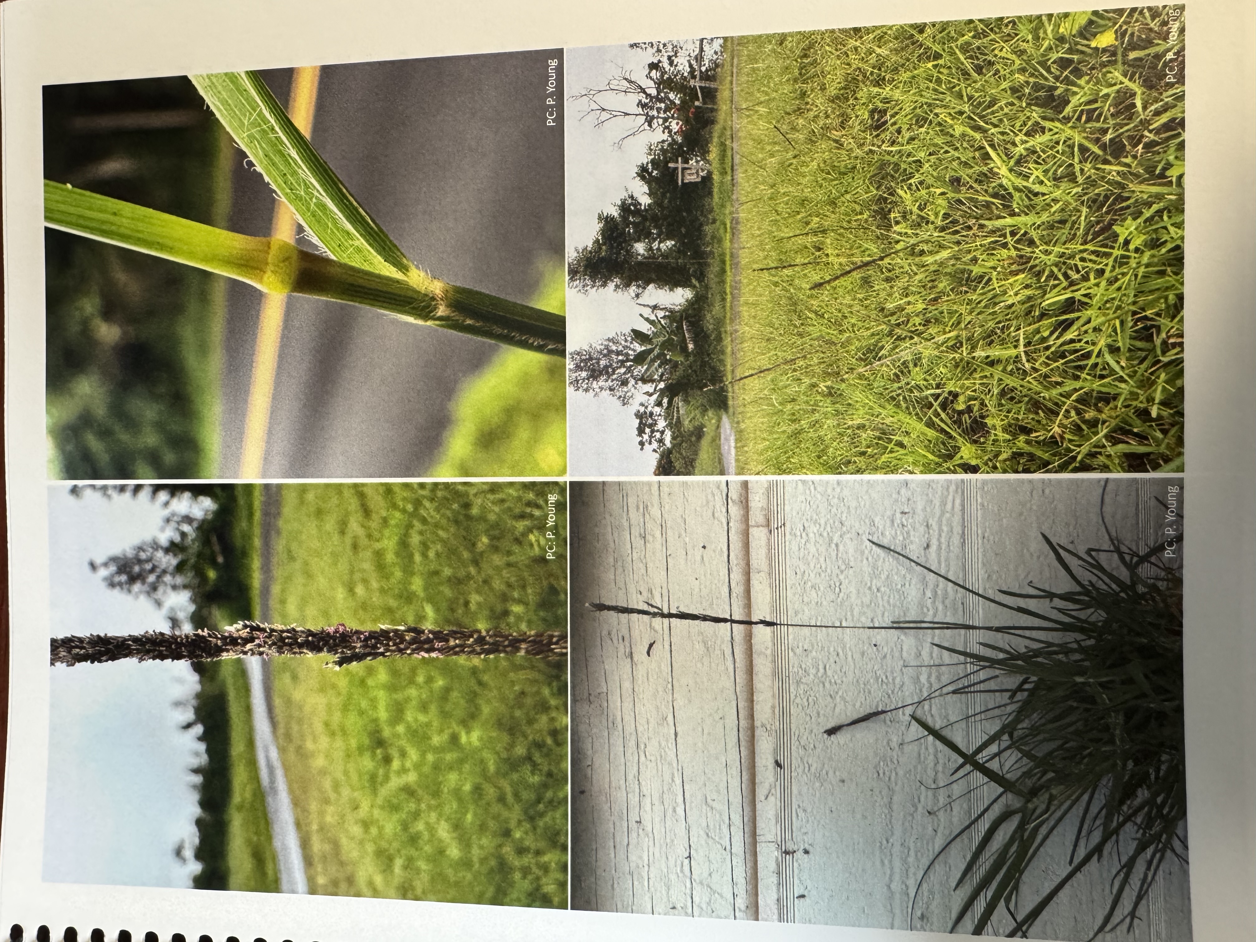 <img src="blob:null/1a145538-6fd4-4f9b-b4f7-07d741ea5cee"><p></p>