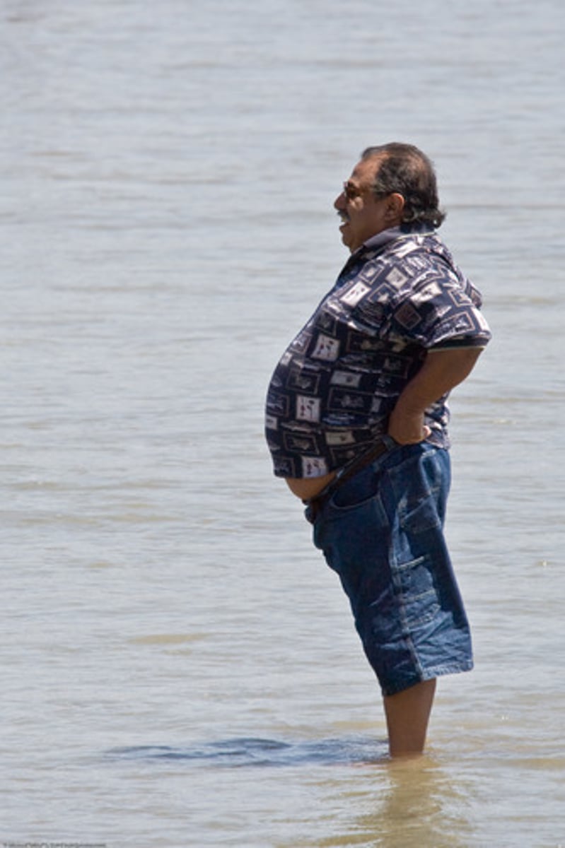 <p>belly</p>