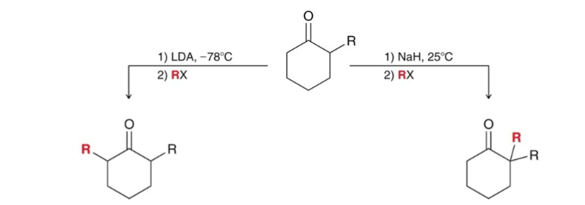<p>Two different enolates can form.</p><ol><li><p>Kinetic enolate favored by irreversible conditions; less substituted, less stable, but forms faster; use LDA at low temperatures (sterically hindered base).</p></li><li><p>Thermodynamic enolate favored by reversible conditions; more substituted/stable enolate; use NaH at room temperature (nonsterically hindered base).</p></li></ol><p></p>