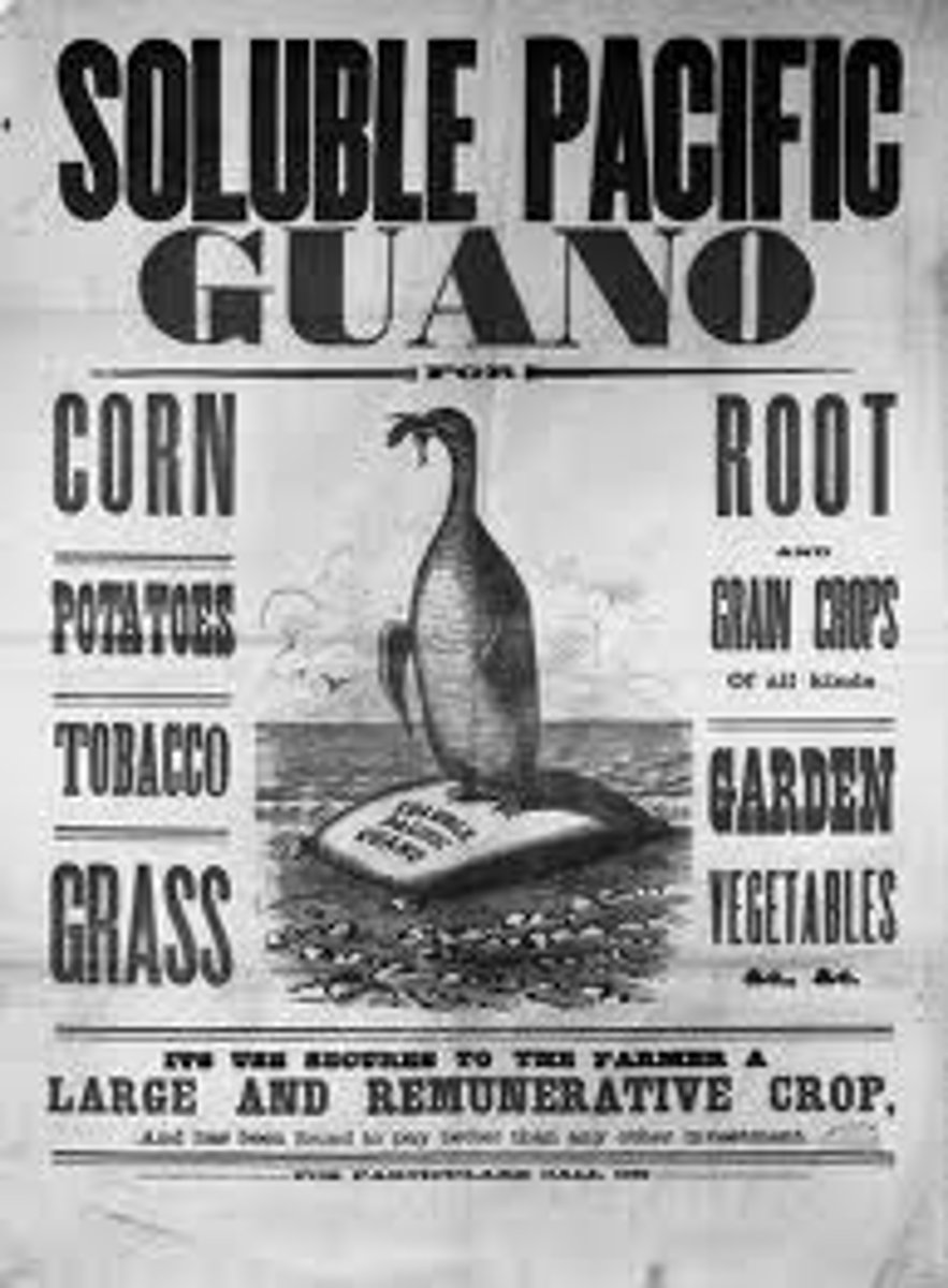 <p>Bird droppings used as fertilizer; a major trade item of Peru in the late nineteenth century</p>