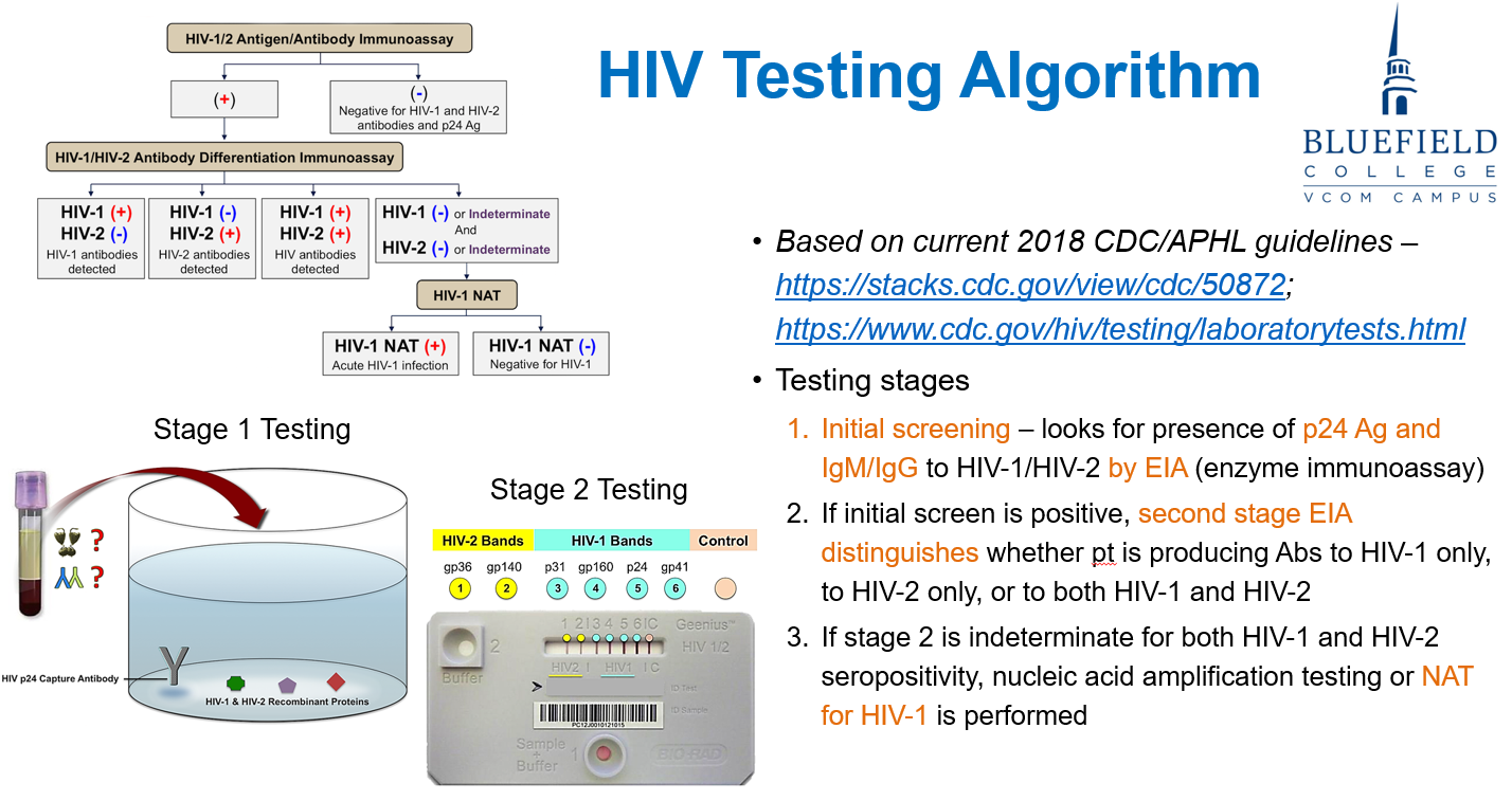 <p>How is<strong> HIV tested </strong>according to the CDC/APH guidelines?</p>