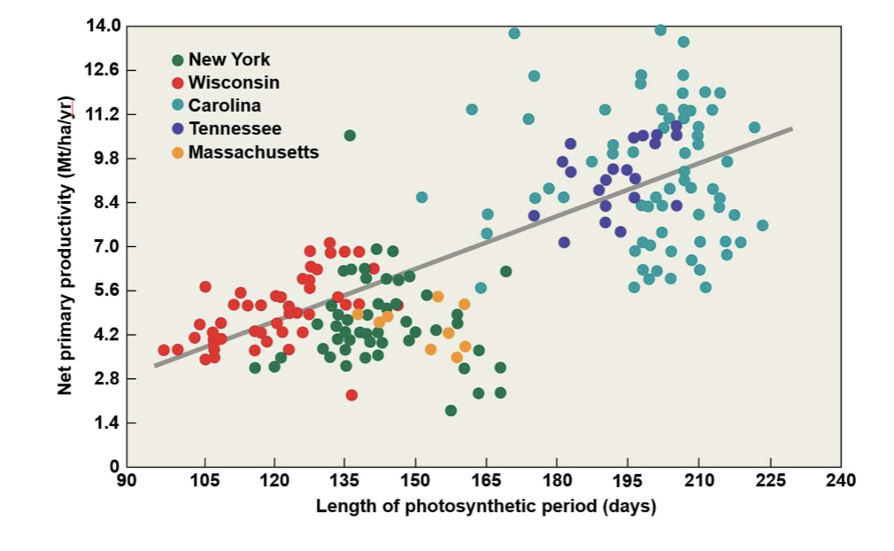 <p>plants have <strong>more time</strong> to photosynthesize and produce biomass</p>