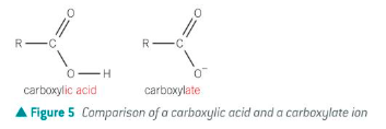 <ul><li><p>Carboxylic acids form carboxylate salts</p></li><li><p>The carboxylate ion in the salt is named by changing the ‘-ic acid’ to ‘ate’</p><p></p></li></ul><p></p>