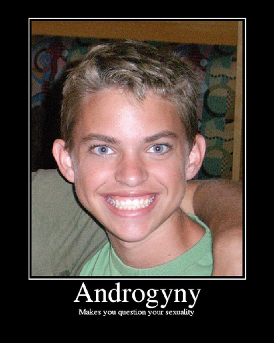 <p>Androgyny = blending masculine and feminine traits</p><p>At a time when being openly lesbian was dangerous, women used androgynous style to:</p><p>Signal identity subtly</p><p>Reject traditional femininity</p><p>It challenged the gender binary and heteronormative society</p>