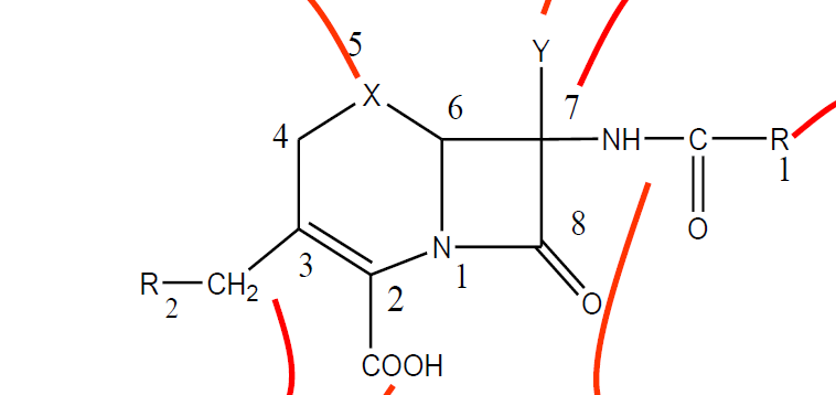 <p><strong>RSA</strong></p><p>-En position 3</p><p>-En radical R1 de 7 </p><p>-En X</p><p>-En Y</p>