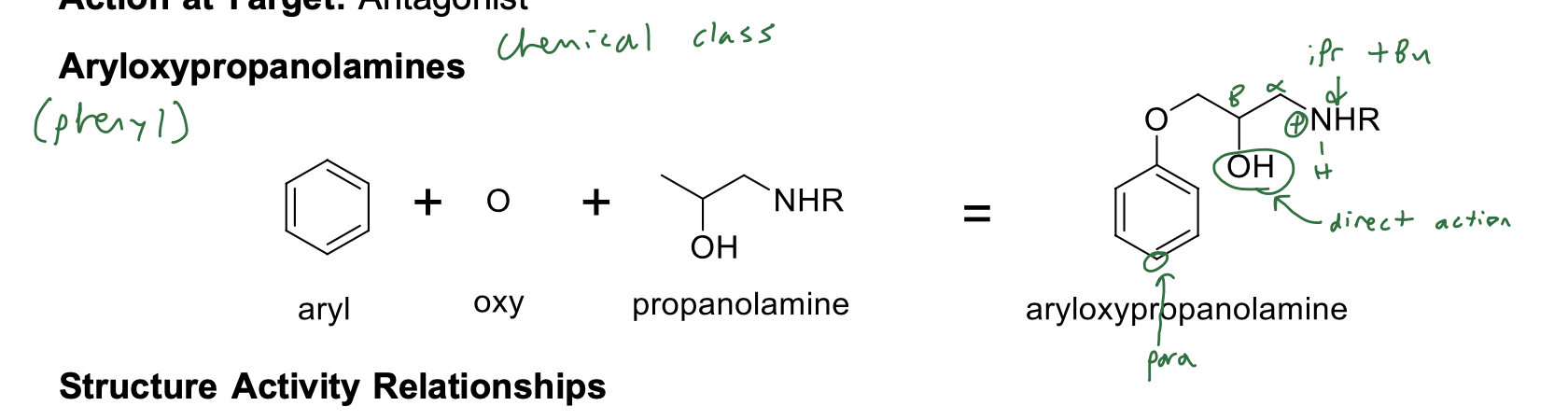 <p>Structure Activity Relationships</p><p>• Aryloxypropanolamine; NO substituent para to the oxygen on the aryl ring (B1=B2)</p><p>• Large branched alkyl group on the basic nitrogen (isopropyl or t-butyl)</p><p>• Basic nitrogen is required for binding; ionized form binds to receptor</p><p>• NO H-bond donor/acceptors directly attached to the aryl ring (except pindolol and carteolol) (no catechol, no catechol mimics)</p>