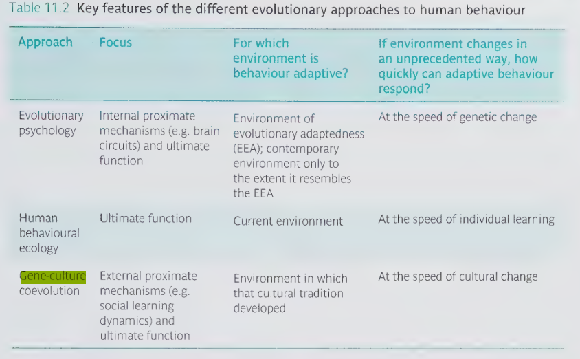 <ul><li><p>evolutionary psychology</p></li><li><p>gene-culture co-evolution theory </p></li><li><p>human behaviour ecology </p></li></ul><p></p>