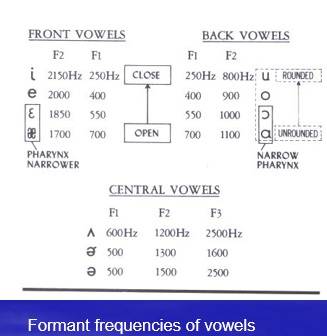 <p>Includes: (constrictions) Front, Back, and Central Vowels: shorter = higher F2, longer pharyngeal = lower F2</p><ul><li><p>Talker difference</p></li></ul><p>Adults – children, male – female</p><ul><li><p>Phonetic context difference</p></li><li><p>different adjacent consonants or vowels</p></li></ul><p></p>