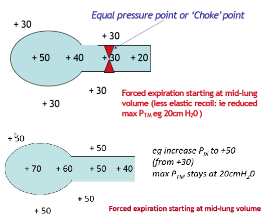<ul><li><p><strong><span>No! </span></strong><span>Trying to exhale more forcibly raises P<sub>pl</sub>, which raises P<sub>A </sub>by the same amount (P<sub>A</sub> = P<sub>el</sub> +P<sub>pl</sub>) and so the max transmural pressure remains the same (20cm water) – so you still get choke point.&nbsp;</span></p><p></p></li><li><p><span>Whether a choke point occurs (which limits flow) is determined by the size of transmural pressure.</span></p><ul><li><p><span>You can not change your elastic recoil pressure so you can not change your flow rates for a set lung volume.</span></p></li><li><p><span>Lungs cannot be trained to create a greater pressure as it is made up of smooth muscle (not skeletal muscle)</span></p></li></ul></li></ul>