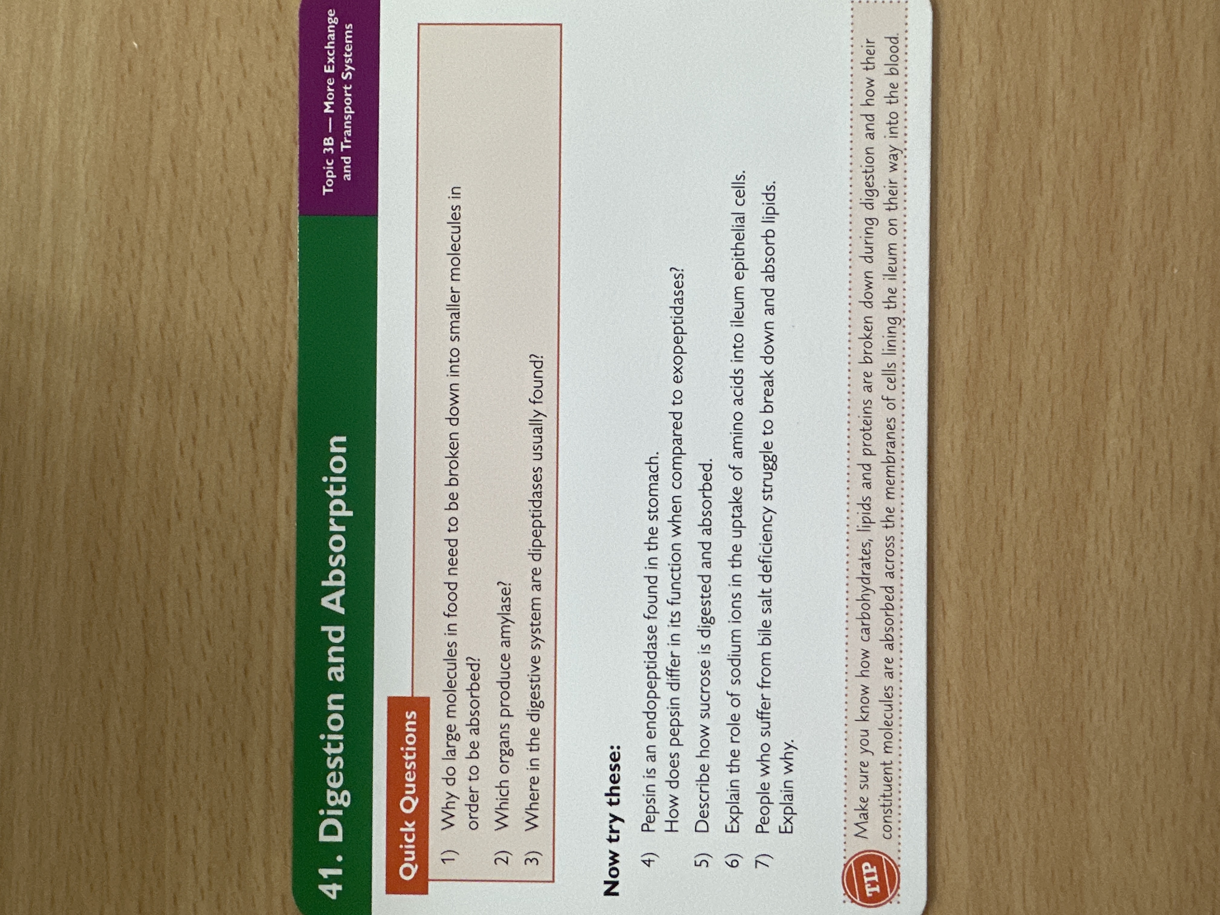 Digestion and absorption 