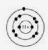 <p>What is the elemental symbol for this Bohr Model</p>