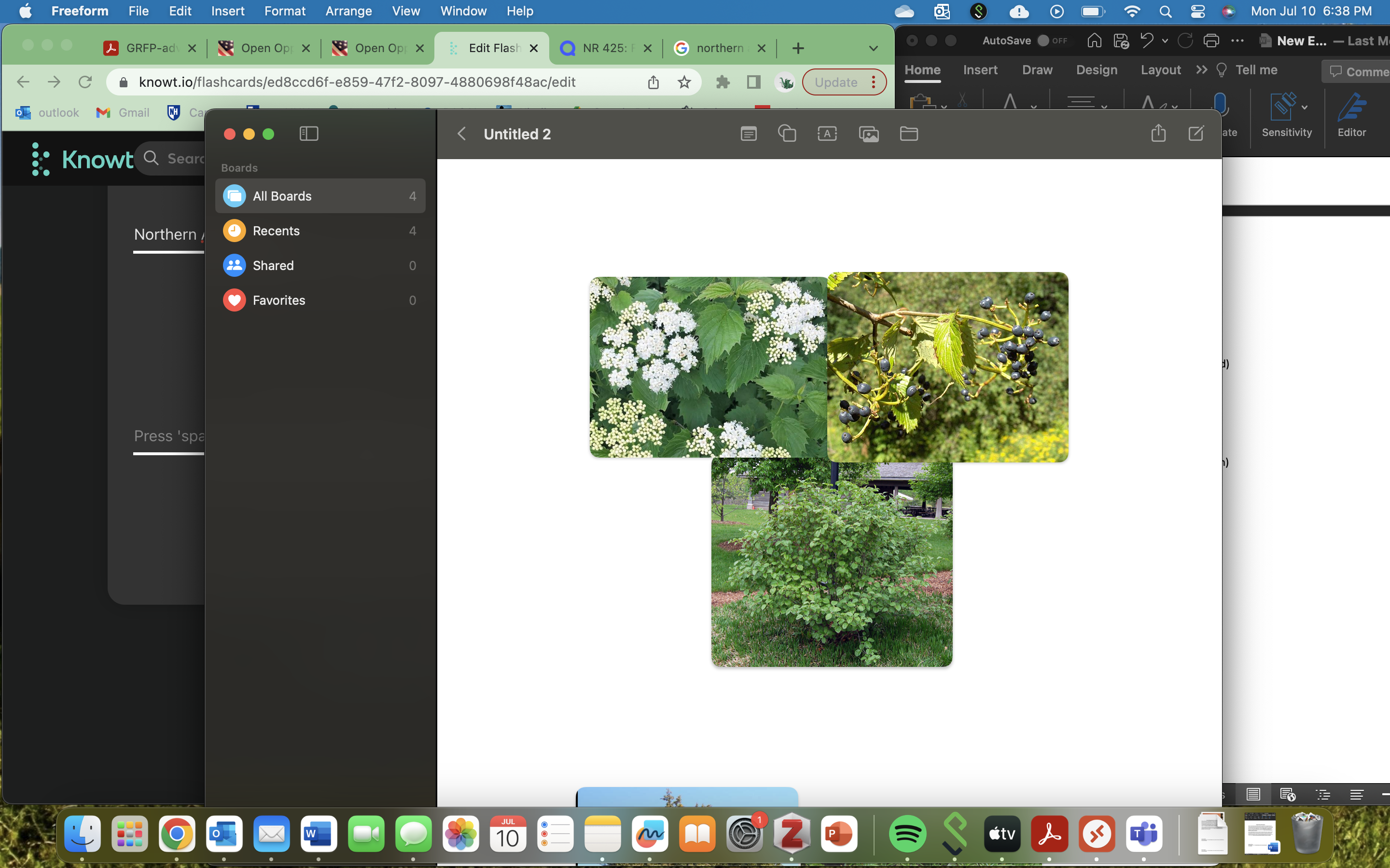 knowt flashcard image