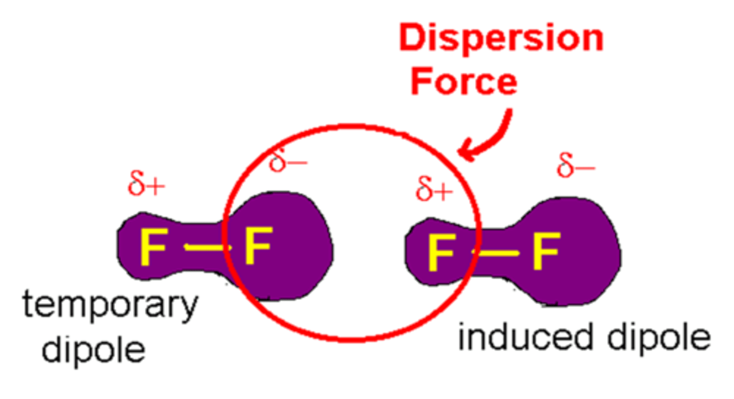 <p>Intermolecular force between nonpolar molecules</p><p>Heavier molecule = stronger force</p><p>Longer Chain molecule = more polarizable</p>