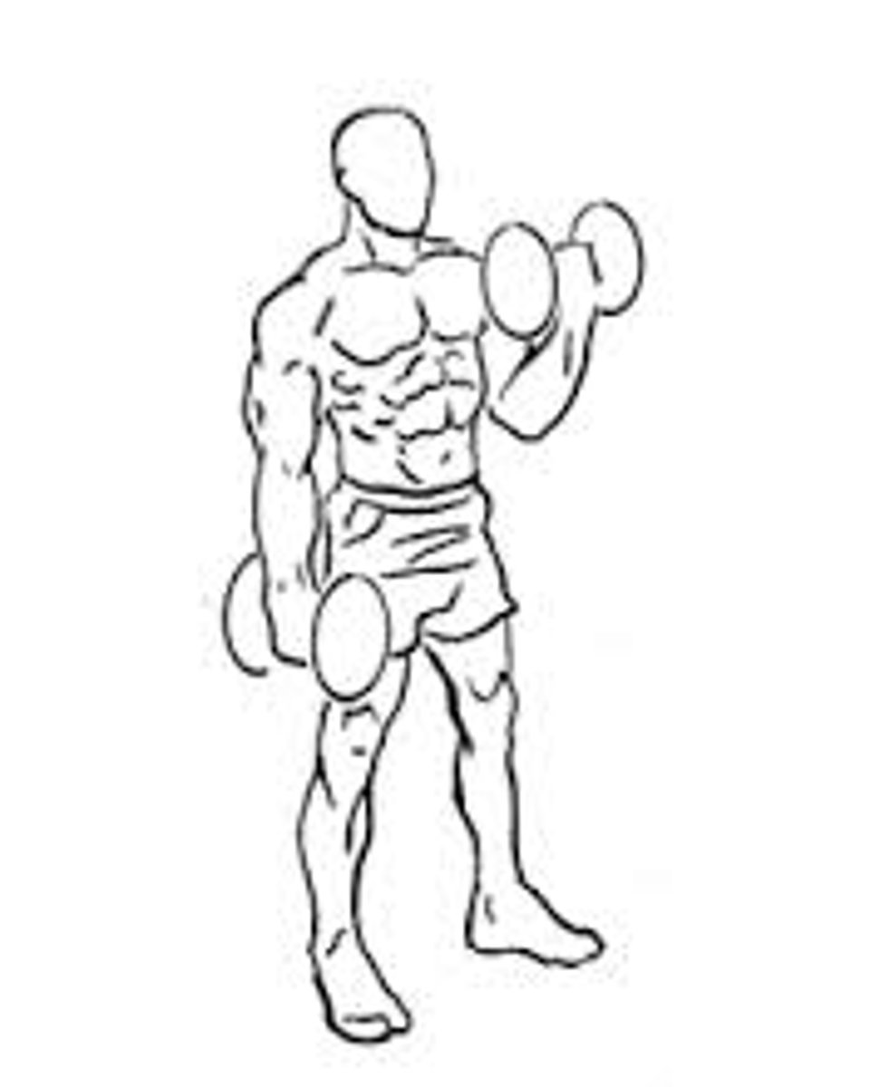 <p>Agonist - biceps. They contract concentrically</p>