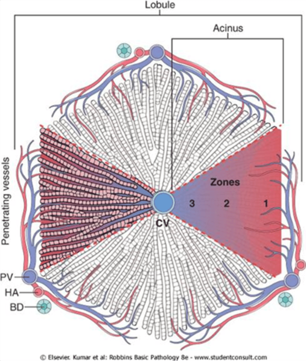<p>Zone 1 - closest to edge. </p>