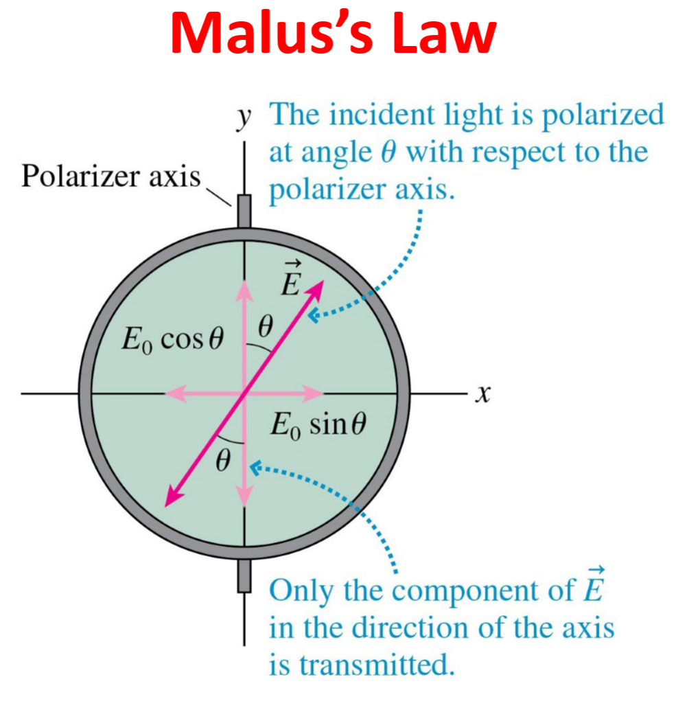 <p>intensity of unpolarized light transmitted through a single polarizer </p>
