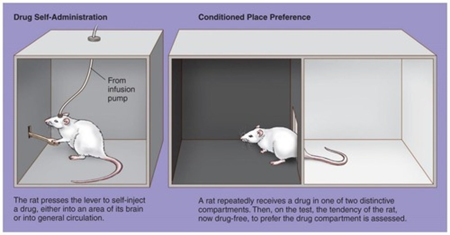 <p>1. Drug self-administration paradigm using cannulas to the bloodstream. 2. Conditioned place-preference where lab animals choose to spend more time in compartments where drugs were administered.</p>