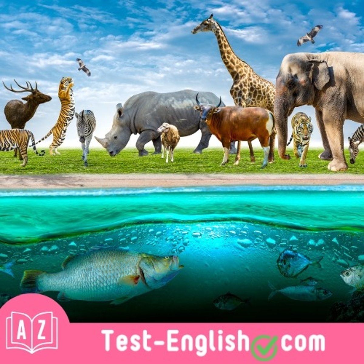 <p>The forest is home to a lot of _____, like foxes and owls.</p>
