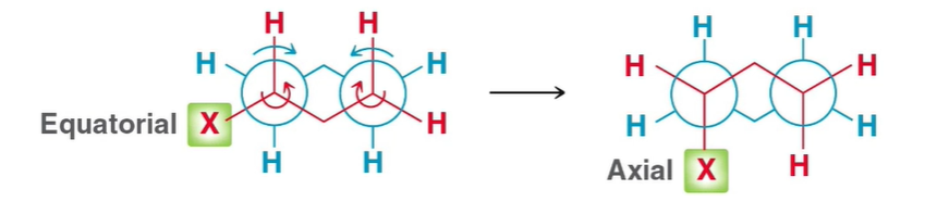 C-C single bonds rotating only 