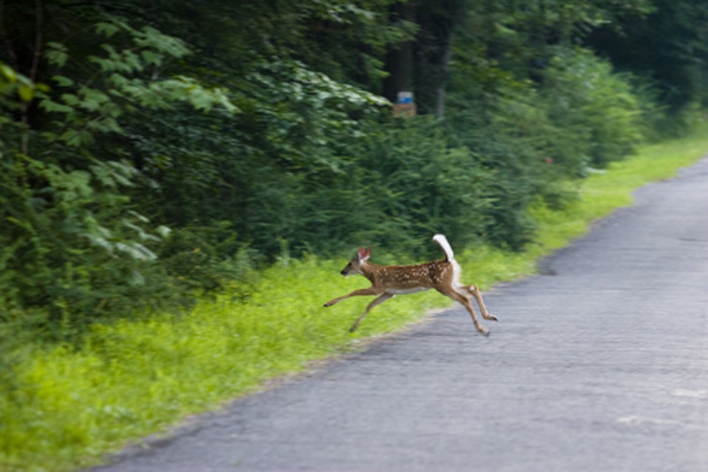 <p>đi trên con đường táo bạo" hoặc "dấn thân vào một con đường đầy thách thức."</p><p>Some choose a suitable job path (5) allowing for creativity and stability, while others take the bold road of chasing dreams</p>