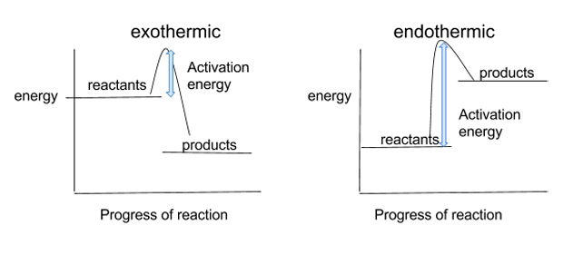 <ul><li><p>reaction profiles can be used to shows the relative energies of reactants and products, the activation energy and the overall energy change of a reaction</p></li><li><p>for the exothermic diagram, the products have less energy than the reactants, because the energy has been released to the surroundings </p></li><li><p>for the endothermic diagram, the reactants have less energy than the products, because the energy has been taken in from the surroundings </p></li></ul><p></p><p></p>