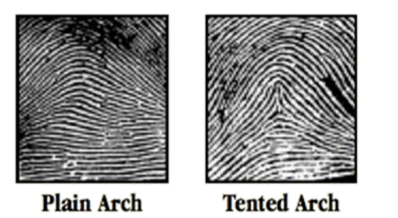<p>Arch Patterns</p>