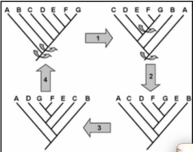 <p>what are F &amp; G considered?</p>