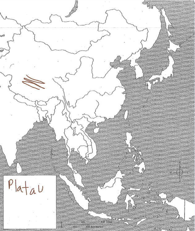term image