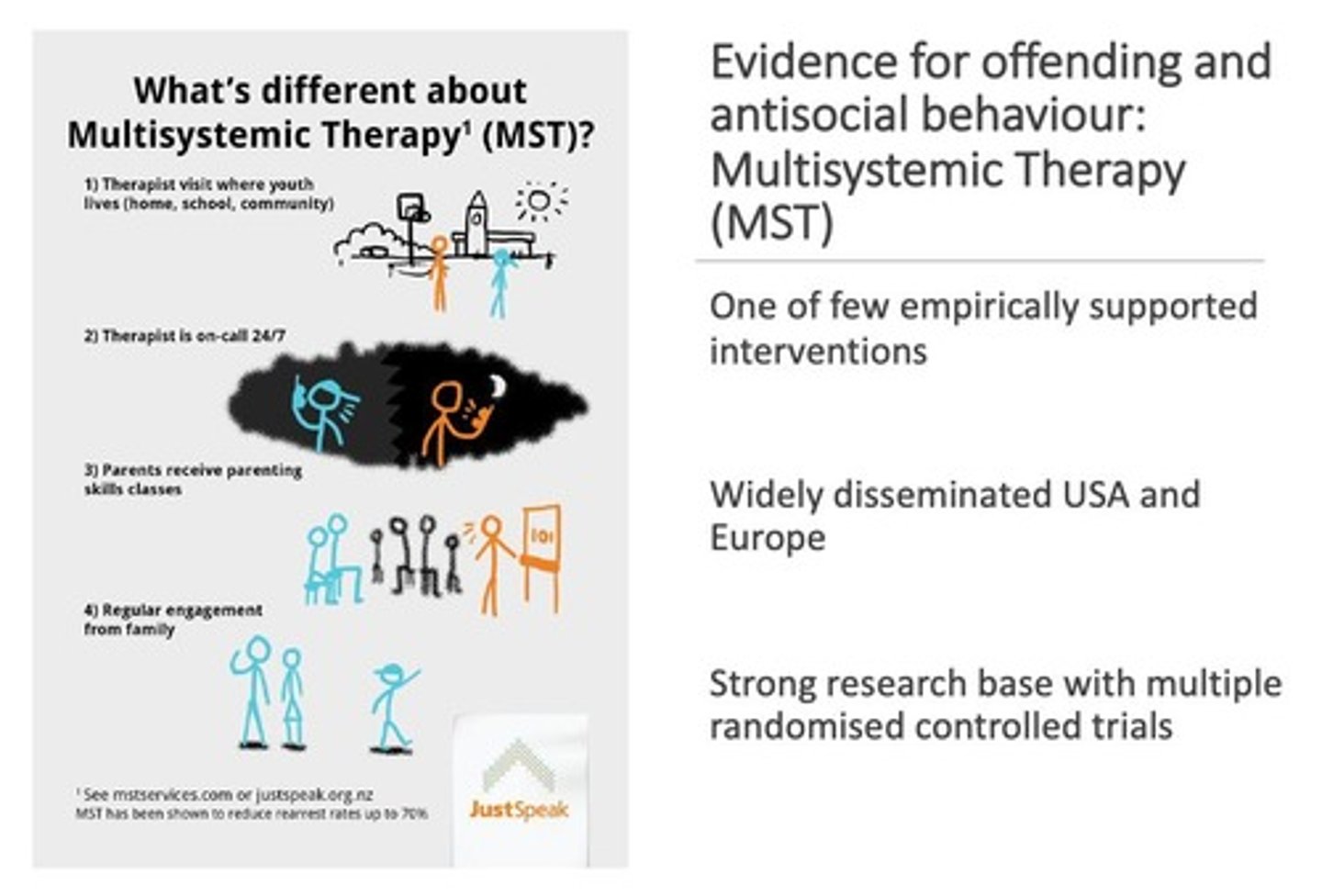<p>Intervention addressing multiple systems influencing youth behavior.</p>