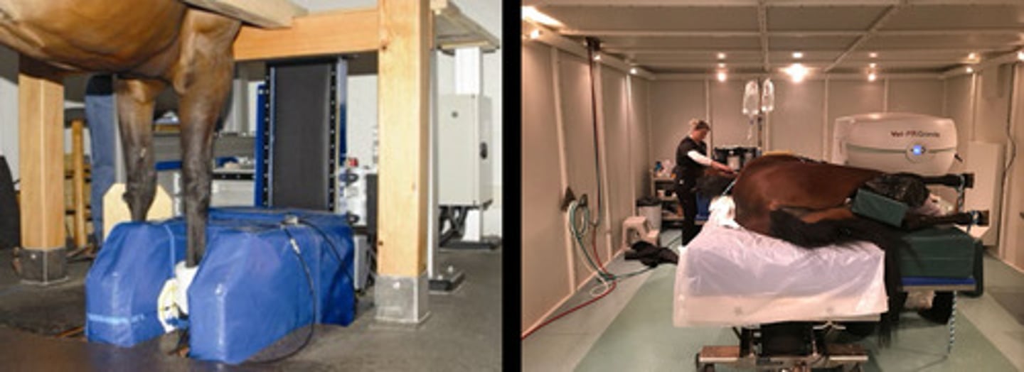 <p>Which imaging modality is being described?</p><p>- imaging soft tissue and bone lesions</p><p>- where ultrasound is not possible (the foot)</p><p>- similar limitations in structures that may be imaged as CT</p><p>- horse has to fit in</p>
