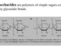 <p><span>Disaccharide</span><br><span>Polysaccharide</span></p>