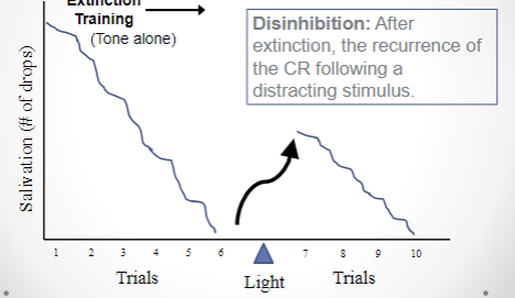 <p>After extinction, the recurrence of the CR following a distracting stimulus</p>