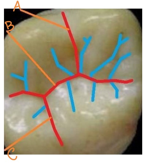 <p>what is A?</p>