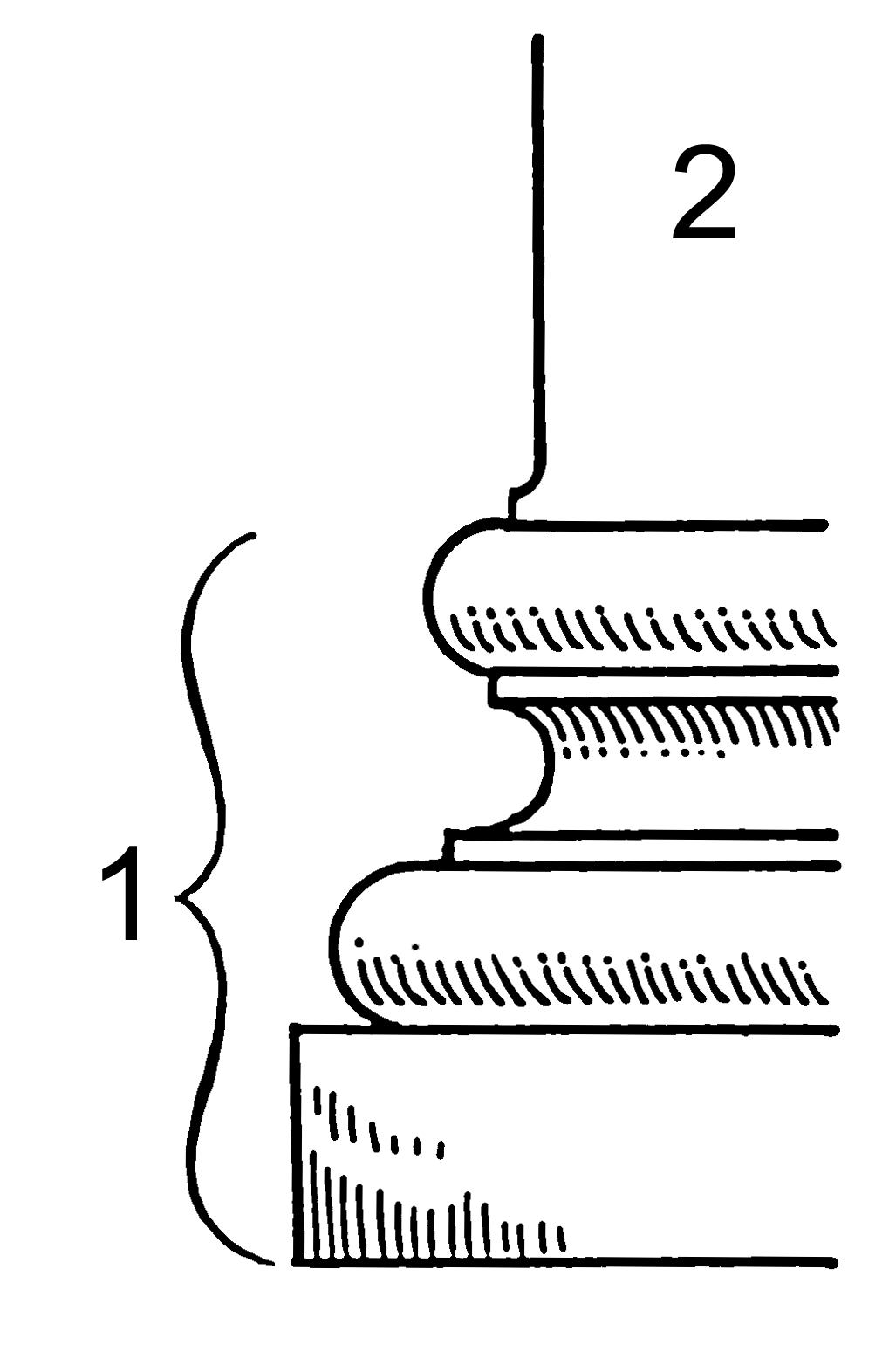 <p>wat is nummer 1 aangeduid op de zuil?</p>